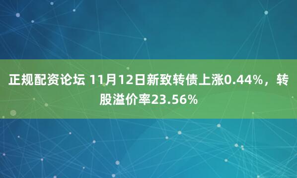 正规配资论坛 11月12日新致转债上涨0.44%，转股溢价率23.56%