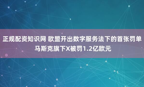 正规配资知识网 欧盟开出数字服务法下的首张罚单 马斯克旗下X被罚1.2亿欧元
